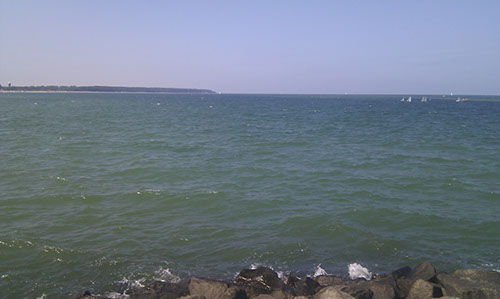 %_tempFileNameIMAG0199%